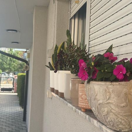 Vila Bolonja Struga Luaran gambar