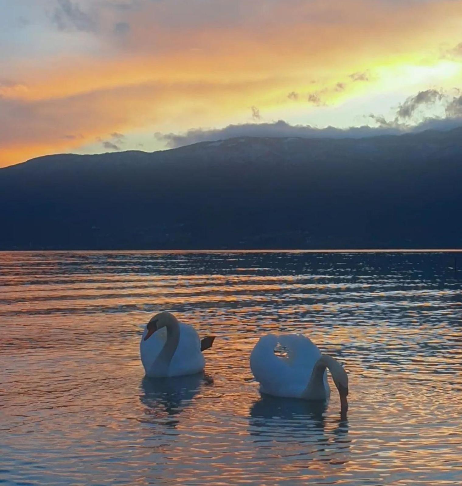 Vila Bolonja Struga Luaran gambar